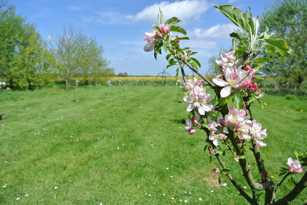 Frith Farm House Cottages Newnham (Kent) Quarto foto